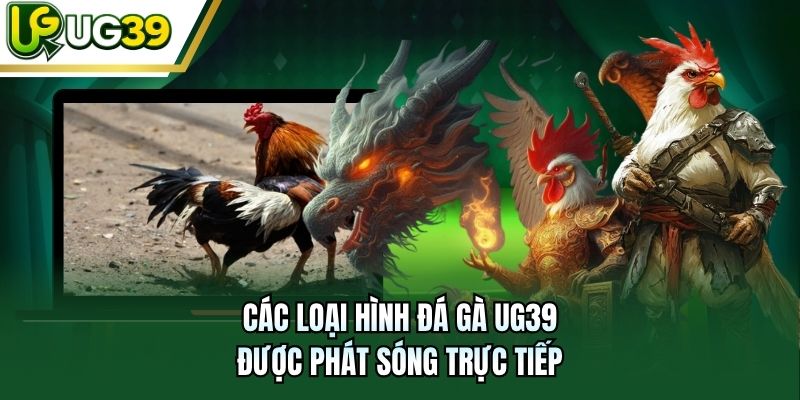 Các loại hình đá gà UG39 được phát sóng trực tiếp