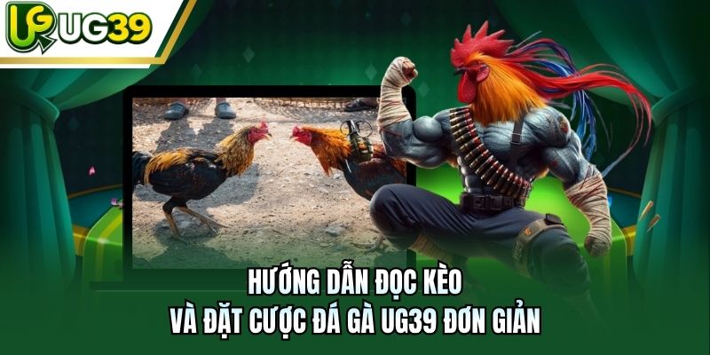 Hướng dẫn đọc kèo và đặt cược đá gà UG39 đơn giản