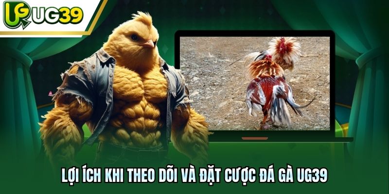 Lợi ích khi theo dõi và đặt cược đá gà UG39