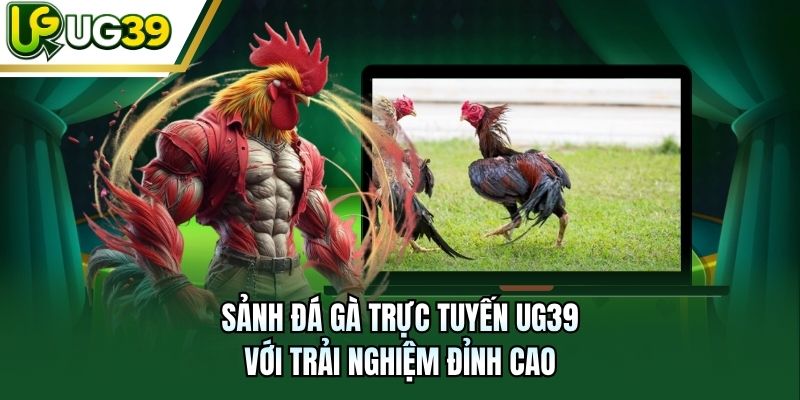 Sảnh đá gà trực tuyến UG39 với trải nghiệm đỉnh cao